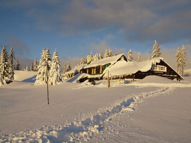 Obrázek - Horský hotel Lesní bouda - ubytování Pec pod Sněžkou